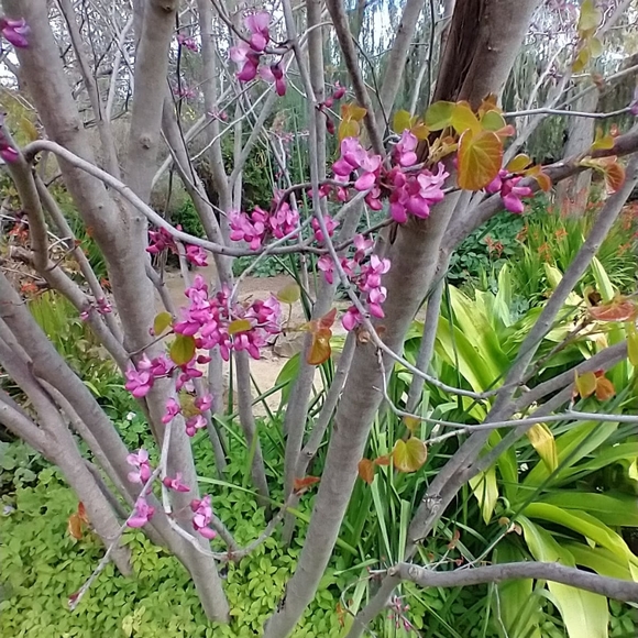 Meet your Posher, Melissa - Picture 2 of 2